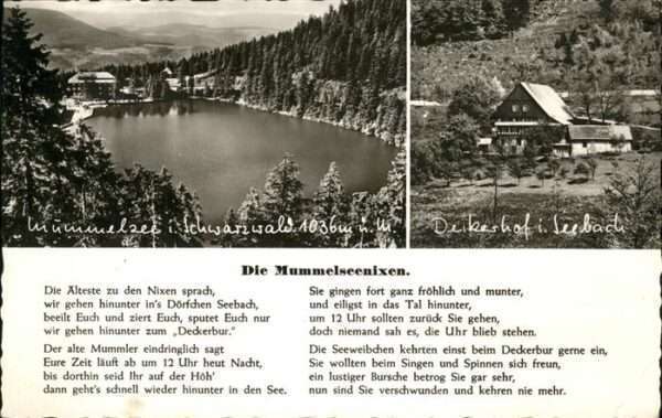 Meerjungfrau Mermaid Mummelseenixen