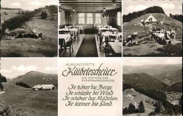 Schwarzwald Almgaststätte Kälbelescheuer