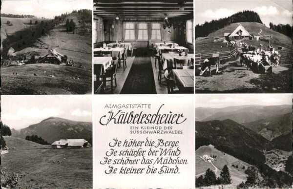 Schwarzwald Almgaststätte Kälbelescheuer
