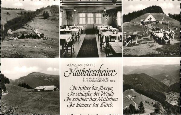 Schwarzwald Almgaststätte Kälobelescheuer