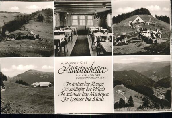 Schwarzwald Almgaststätte Kälbelescheuer