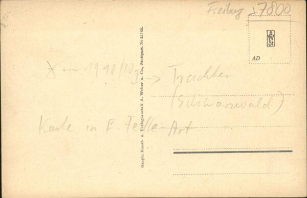 Schwarzwald aus Vogelschau – Bild 2