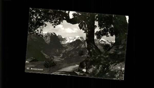 Braunwald GL