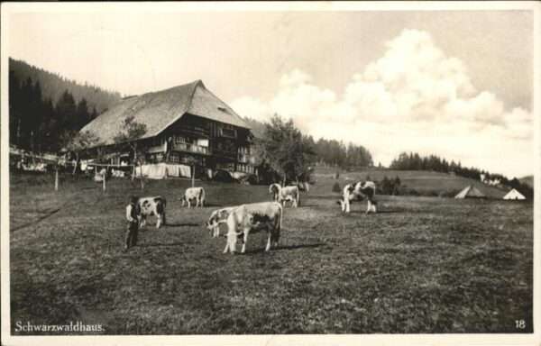 Schwarzwald Haus Kühe