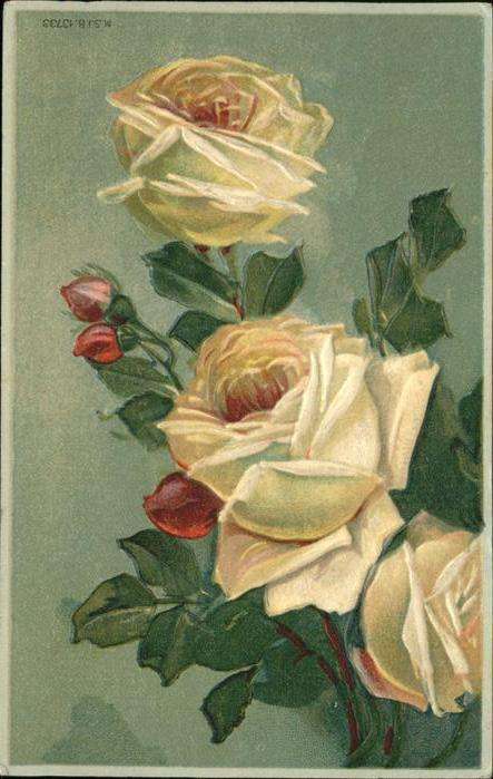 Rosen Prägedruck