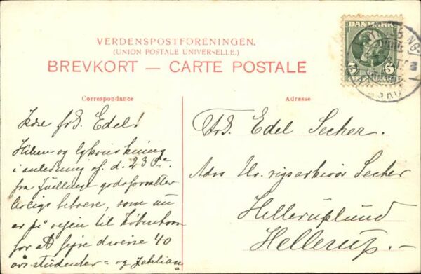 Blumen – Bild 2
