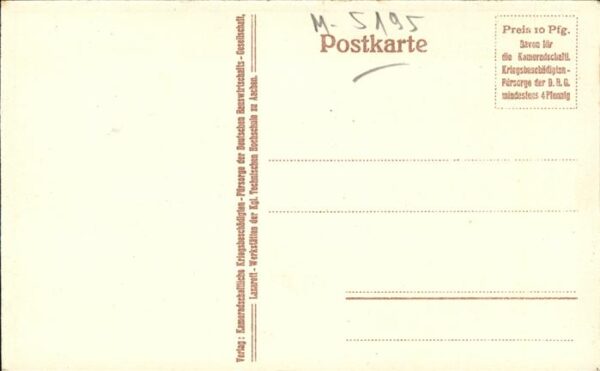 Pflanzen Huflattich – Bild 2
