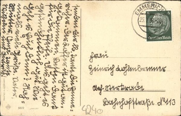 Rosen – Bild 2