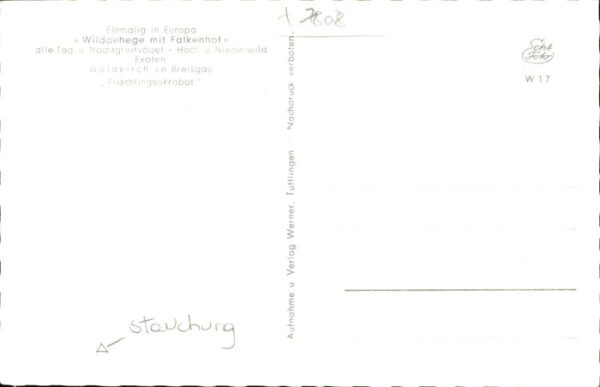 Schweine Wildgehege Falkenhof – Bild 2