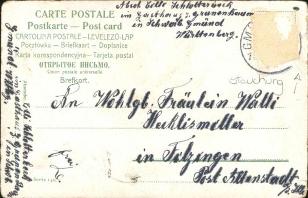 Tauben flieg mit Windeseile – Bild 2
