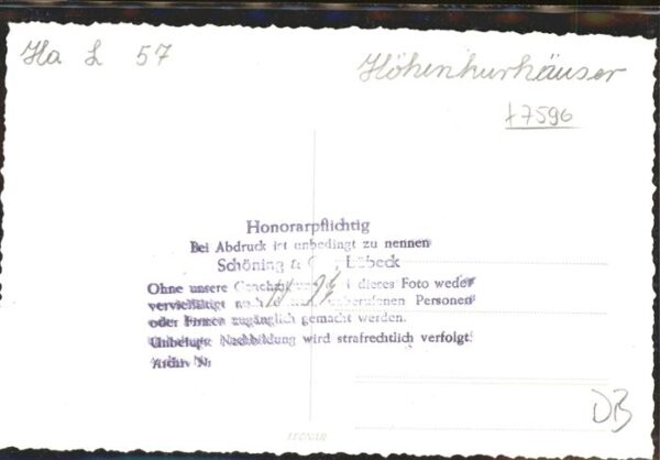 Esel Tiere – Bild 2