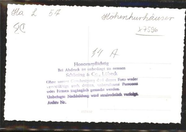 Esel Tiere Höhenkurhäuser – Bild 2