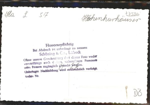 Esel Tiere – Bild 2