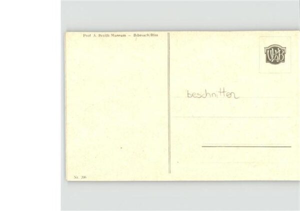 Kuenstlerkarte A B Raith Kühe – Bild 2