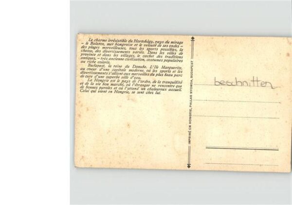 Ungarn Frau Schmetterling – Bild 2