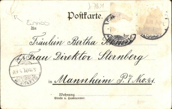 Trachten Markgräflerin – Bild 2