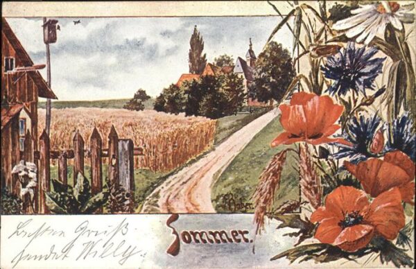 Sommer Blumen