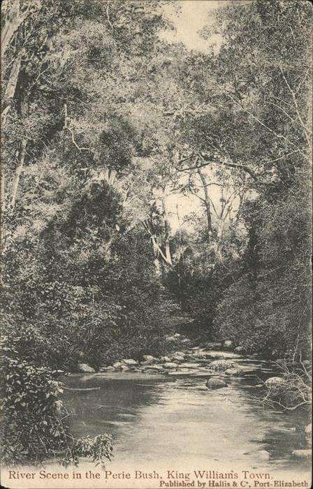 King Williams Town River Scene in the Perie Bush