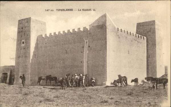 Tiferlanne La Kasbah Pferd