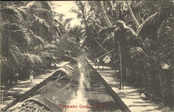 Ceylon Sri Lanka Negambo Canal
