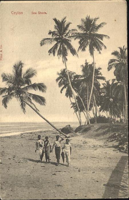 Ceylon Sri Lanka Sea Shore