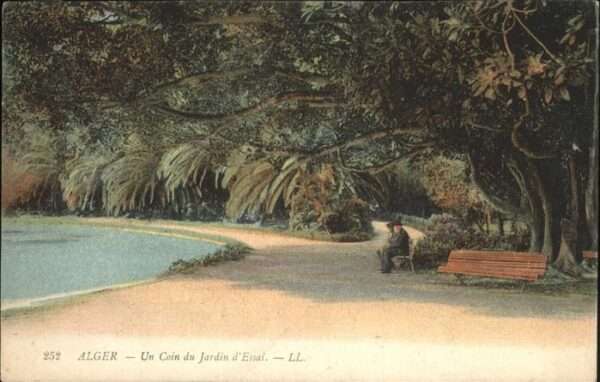 Alger Algerien Jardin Essai