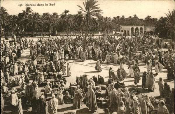 Alger Algerien Marche