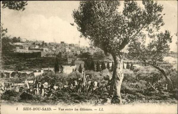 Sidi Bou Said
