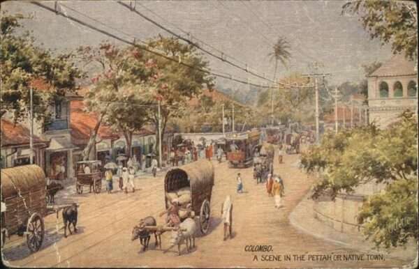 Colombo Ceylon Sri Lanka Scene in the Pettah or Bative Town Stra