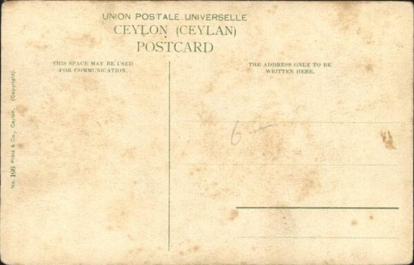 Ceylon Sri Lanka Pingo Carrier – Bild 2