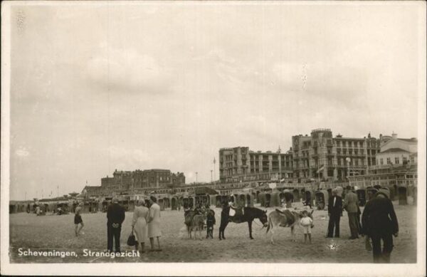 Scheveningen Strandgezicht Esel