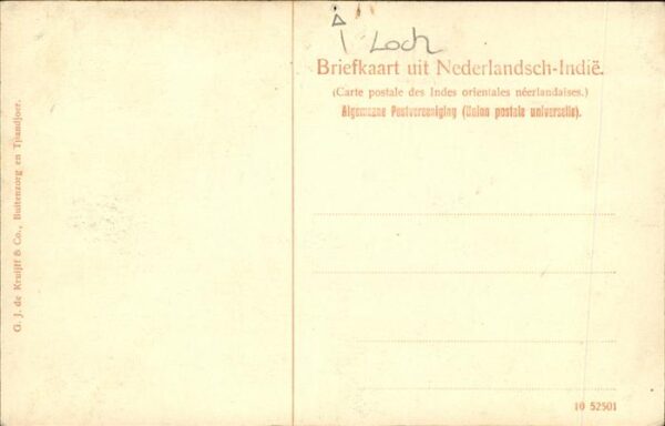 Buitenzorg Gezicht Lands Plansentiun – Bild 2