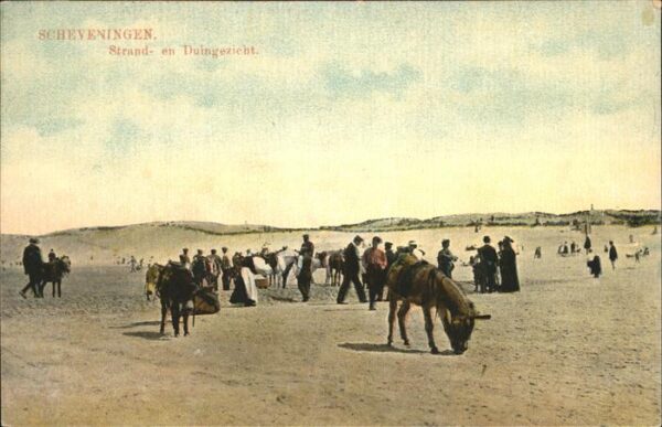 Scheveningen Strand Esel