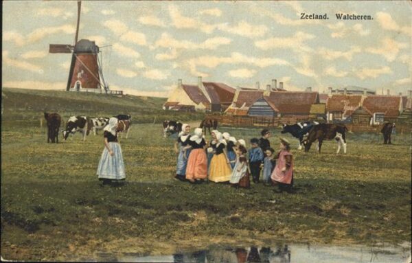 Zeeland Niederlande Walcheren Kühe Mühle