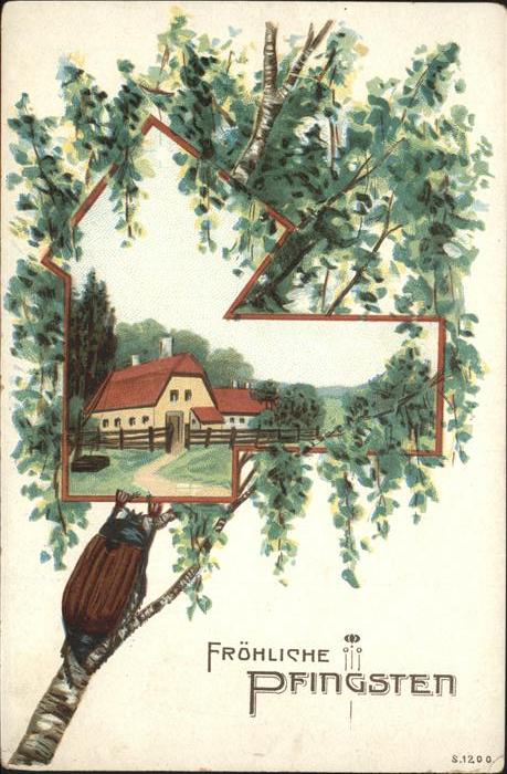 Pfingsten Pentecost Pentecote Maikäfer