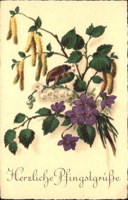 Pfingsten Pentecost Pentecote Blumen