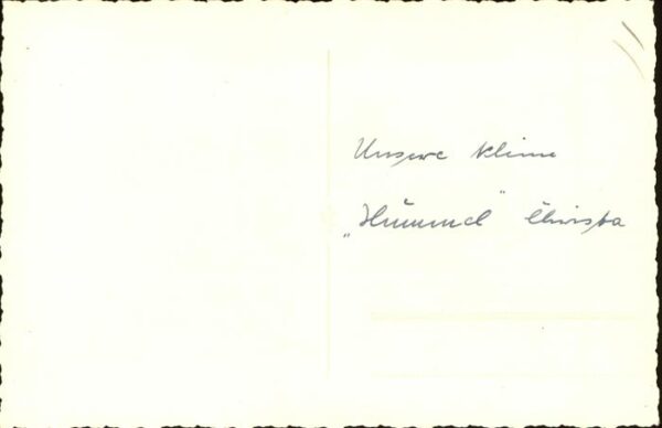 Schaeferhunde Kind – Bild 2