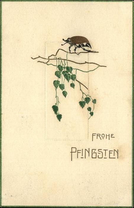 Pfingsten Pentecost Pentecote Maikäfer