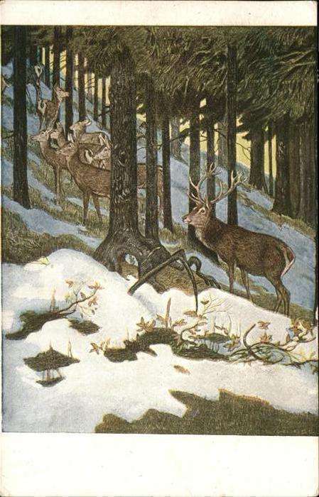 Hirsch