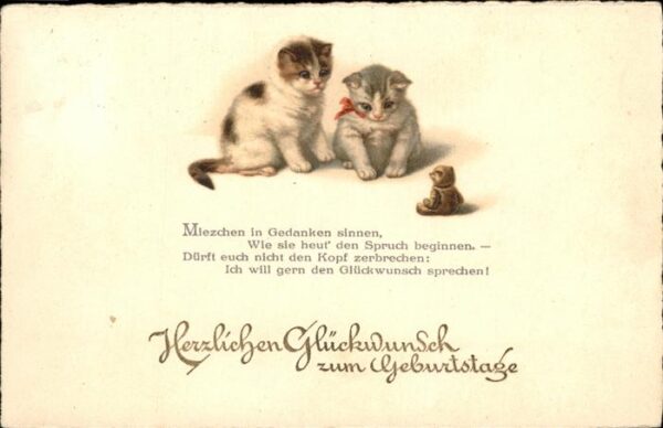 Geburtstag Katzen