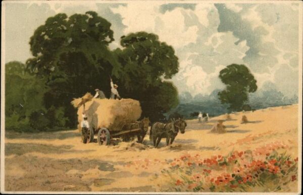 Landwirtschaft Heukarren Pferd