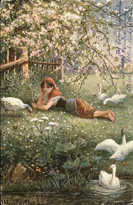 Kuenstlerkarte Herrfurth Schwan