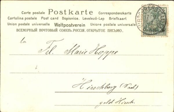 Voegel Waldesgrüsse – Bild 2