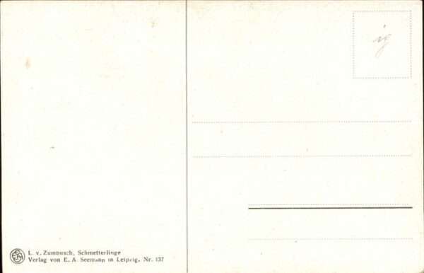 Kuenstlerkarte L v Zumbusch Schmetterlinge – Bild 2