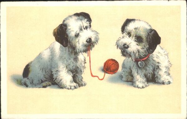 Hunde