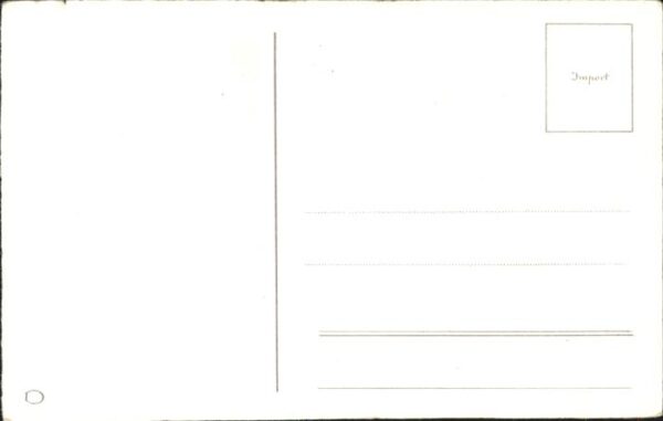 Hunde – Bild 2