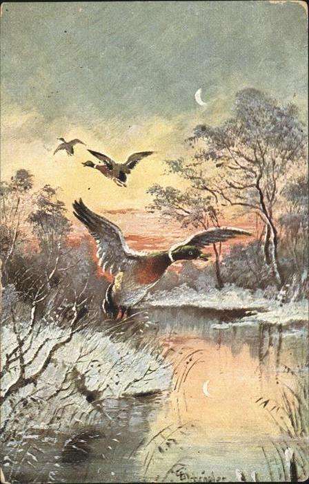 Enten