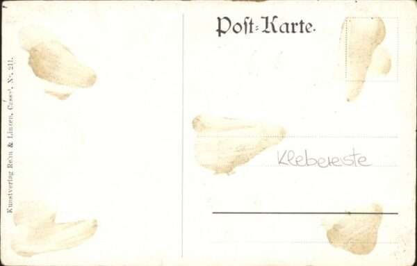 Enten – Bild 2