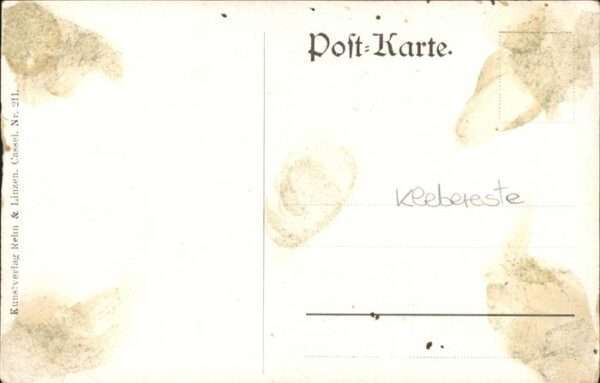 Reh – Bild 2