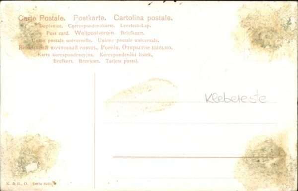 Reh – Bild 2